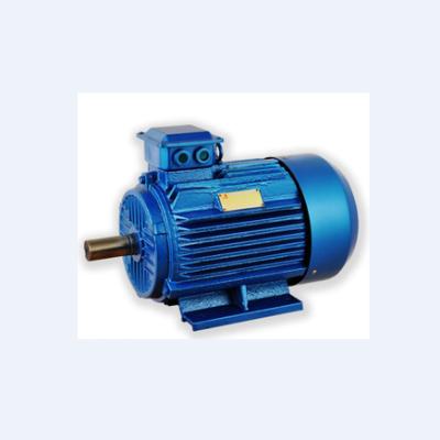 China The other Y2-112M-4 series three-phase asynchronous motor for sale