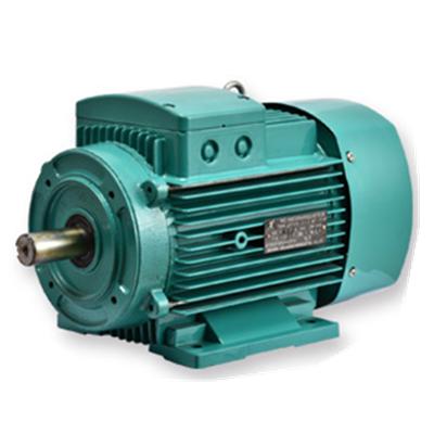 China Other JLP Series AC Three Phase Asynchronous Electric Motor for sale