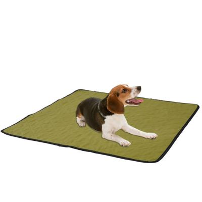 China Reusable Travel Dog Map Bed Mat for sale