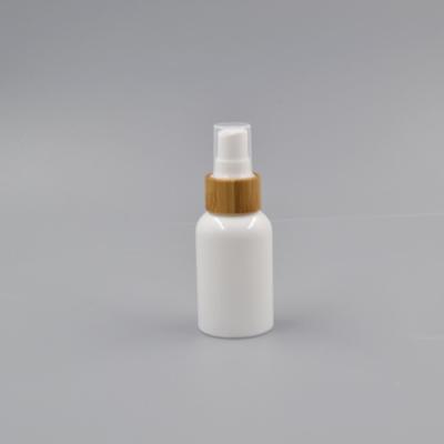 China 2019 Recycable New Product Empty Cosmetic Compostable Travel Spray Bottle 50ml Packaging for sale