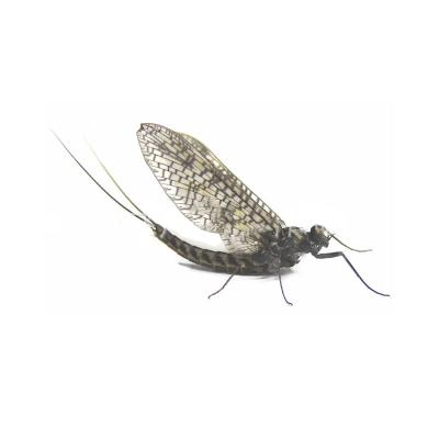 China WONDERFUL Simulated Stainless Steel Mayfly Artificial Mosquito Wobbler Feather Hook Freshwater Insect Fly Bait for sale