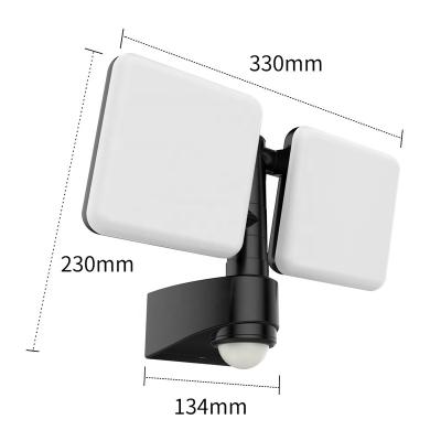 China ABS IP54 2x 10W Thru Wall Lamp Outdoor Wall Mounted Light for sale