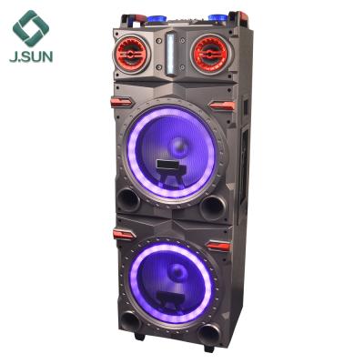 China Professional 12 Inch DTS Large Bass Woofer Outdoor Speakers for sale