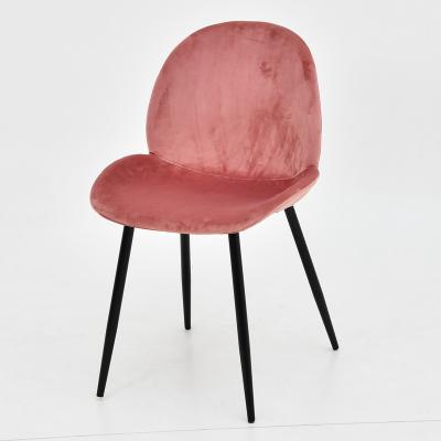 China Modern Red Green Velvet Dining Chair, Shell Shape Upholstered Pink Velvet Side Chair With Metal Legs for sale