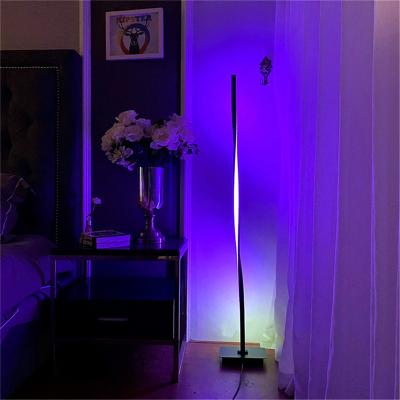 China KADERLY New Fashion Design Modern Indoor Decorative RGB LED Floor Lamp Corner Floor Lamp for sale