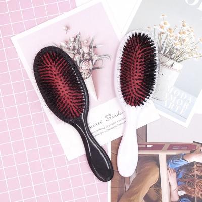 China Custom Logo Factory Sale Boar Bristle Hair Brush Waterproof Plastic Handle Hot Hair Brush for sale