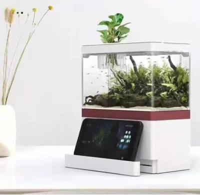 China ZAOHETIAN USB Mini Desktop Aquarium LED Lamp Sustainable Desktop Underwater Gradient Dream Fish for sale