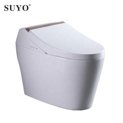 China Automatic Operation China Sanitary Ware Floor Mounted Ceramic Bidet Smart Bidet Flush WC Toilet for sale