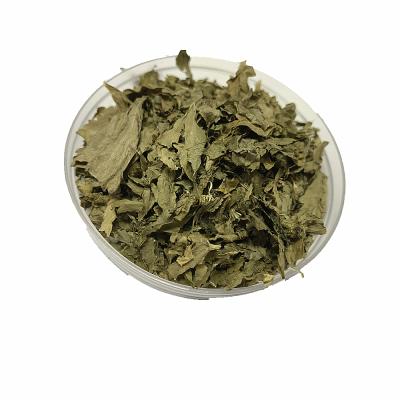 China New dry culture dehydrated vegetable celery leaf flakes for sale