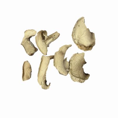 China Bulk AD Dry Vegetable Button Mushroom Dehydrated Mushroom Flakes For Cooking for sale