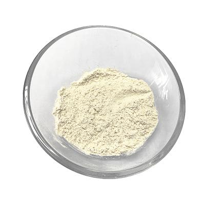 China Best price dry dehydrated vegetable garlic powder with different characteristics for sale