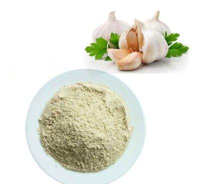 China New Dry Culture Dehydrated Garlic To Sprinkle Dry Garlic Powder for sale