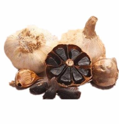 China Health Benefits Fresh Organic Nutritious Clove Black Garlic Multiple Offer Free Sample for sale