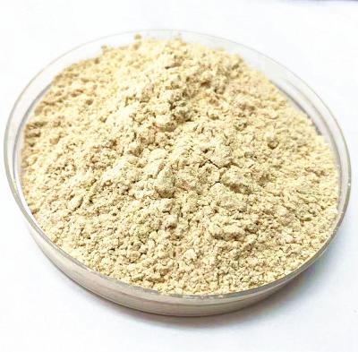 China Top Quantity Dried Dehydrated Roasted Garlic Powder For Free Sample for sale