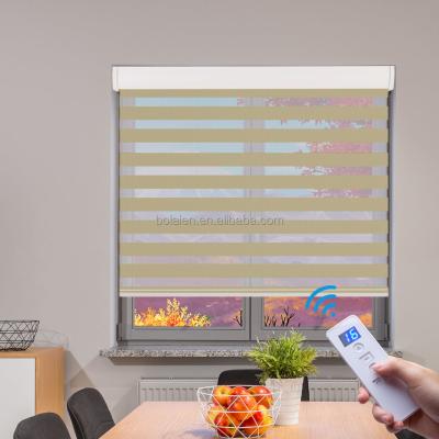 China 100% UV Protection Polyester Blackout Window Coverings Roll Shade For Living Room Darkening Motorized Roller Shades for sale