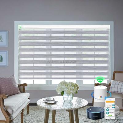 China Alexa Automatic Smart Curtain In UV Protection Wifi And Google Home Control Blackout Double Layer Zebra Roller Blind Shades for sale