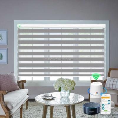 China 100% UV Protection Polyester Sheer Window Curtain Motorized Wifi Control Zebra Electric Smart Roller Blinds For Home Office for sale