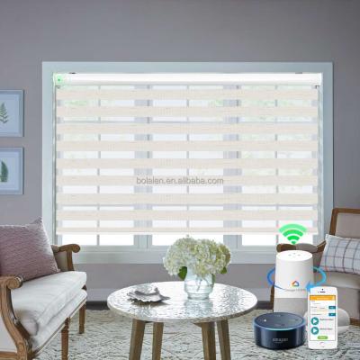 China Custom UV Protection Wifi Motor Intelligent Auto Smart Home Dual Roller Blinds Zebra Shades Motorized Curtains for sale