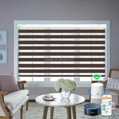 China UV Protection Fitering Stylish Free Dimming Light Zebra Double Blind Wifi Alexa Google Home Automatic Roller Sync Smart Control Blinds Shade for sale