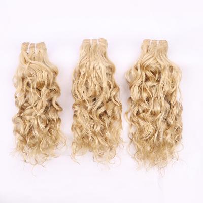 China Wholesale Raw Brazilian Curly Virgin Brazilian Cuticle Aligned Hair Extensions Vendors, 613 Blonde Virgin Brazilian Hair Bundles for sale