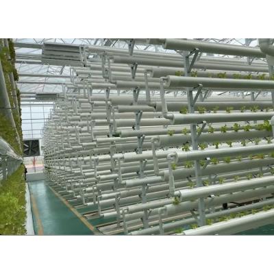 China Easy Assemble Hydroponics System Agriculture Planting PVC Tube NFT Customized Greenhouse System for sale