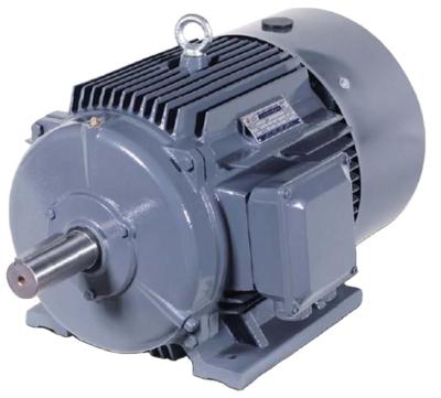 China IP55 BEIDE 1TL0001 three phase AC induction cast iron asychronoous electric motor for sale