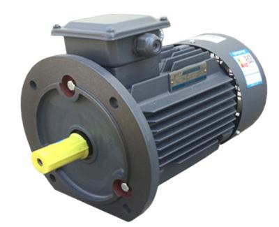 China IP55 Brand Motor 380V/220V Induction Motor Electric Motor High Speed ​​Three Phase Motor for sale