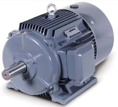 China IP55 SIEMENS Electric Low Voltage IEC Standard Asynchronous Three Phase AC Induction Motor for sale