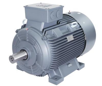 China IP55 SIEMENS Series High Torque Cast Iron 3 Phase Low RPM Low Voltage AC Motor for sale