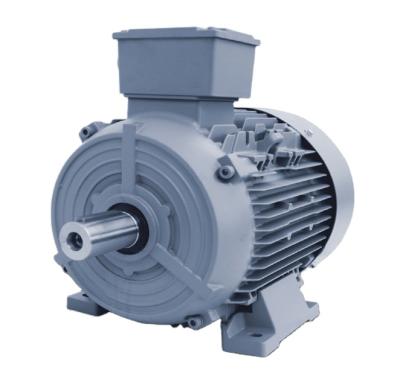 China Hot Selling IP55 Siemens IE3 Asynchronous Motor (IEC 60034-5) Three Phase Motor In AC Motor for sale