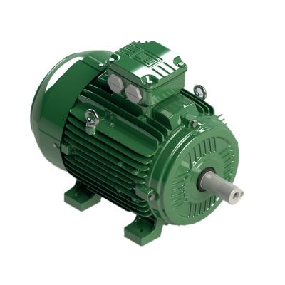 China Totally Enclosed Efficiency Premium Series Low Voltage IP55 IE4 WEG W21 Electric Motor for sale