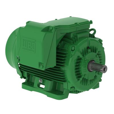 China WEG Motors W22 Series Electric Motor Totally Enclosed Asynchronous Induction Motor For All Industry for sale