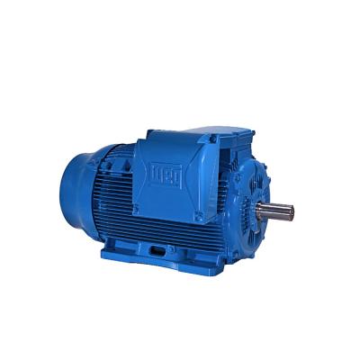 China W22 Weg Inverter Duty Totally Enclosed Induction Motor for sale