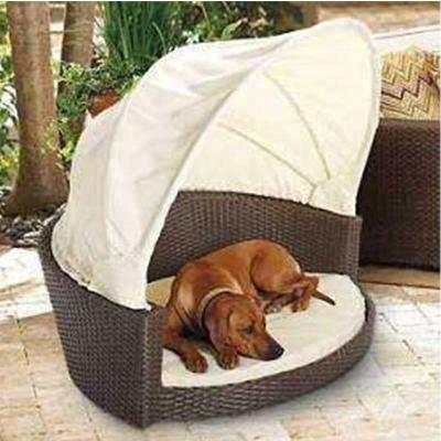 China Modern Outdoor Special Design Leisure Furniture Modern Rattan Dog Bed for sale