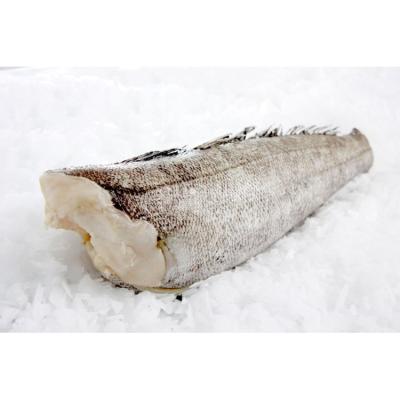 China FROZEN Patagonian Toothfish for sale