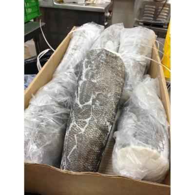 China FROZEN Patagonian Toothfish for sale