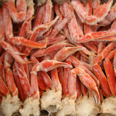 China FROZEN snow crab for sale