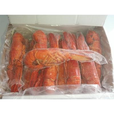 China Live lobster and crab for sale