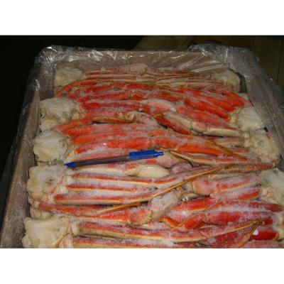 China FROZEN lobster and crab for sale