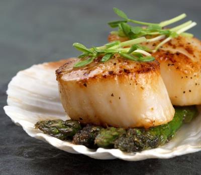 China Frozen Scallop FROZEN for sale