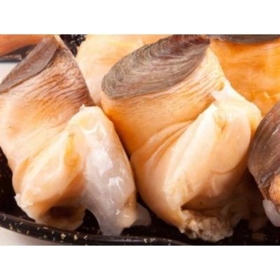 China FROZEN shellfish for sale