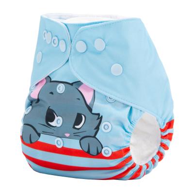 China 2020 AnAnBaby POS Digital Printing Cloth Plain Weave Diaper With Insert for sale