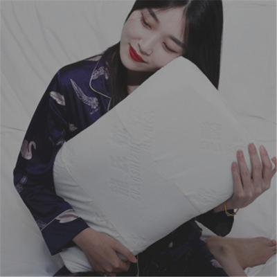 China Professional memory manufacturer high quality neck pillow memory foam neck pillow on sale for sale