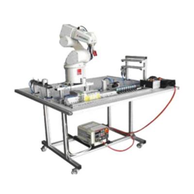 China Station Training Equipment Mechatronics Professional Robotic Trainer AFM008R (6 DOF Robot Trainer) for sale