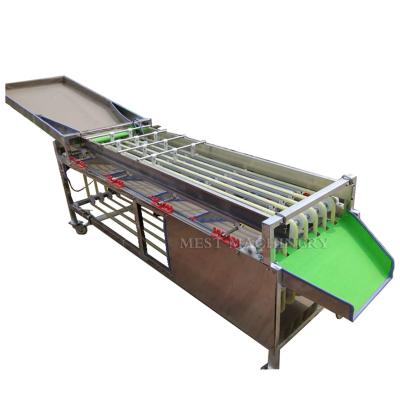 China Grades Quantity Is Adjustable Fruit Sorting Vegetable Sorting Sorter Grading Prices for sale