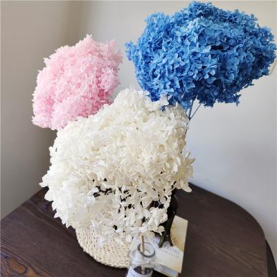 China Home Decoration Dried Flowers With Small Leaf Natural Hydrangea Natural Color Dry Flower for sale