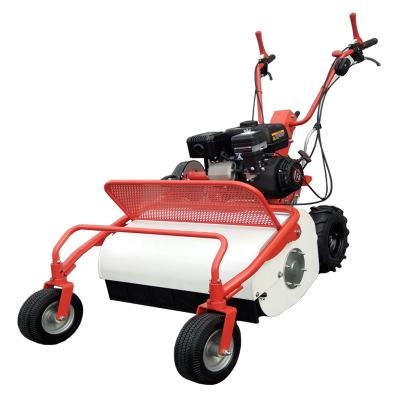 China 4-Stroke Grass Cutter Hay Mower Hand Push Lawn Mower for sale