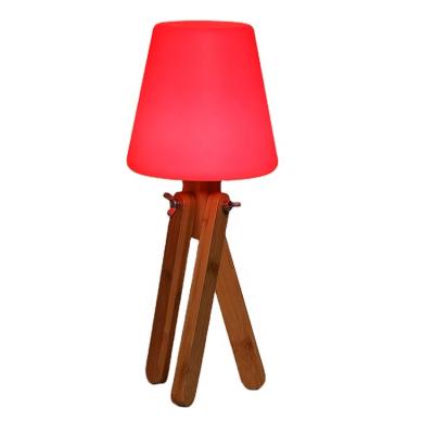 China Three Level Brightness Guaranteed Quality Unique Led Lamp Rechargeable Restaurant Decorative Table Lamp for sale