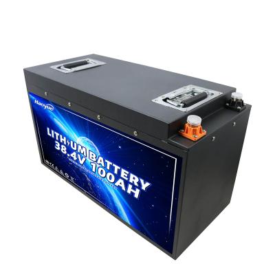 China Lifepo4 12 volt 300ah 200ah 100ah 50ah lifepo4 12v 24v 36v 48v 100ah 200ah 300ah 400ah lifepo4 solar powered battery pack for sale