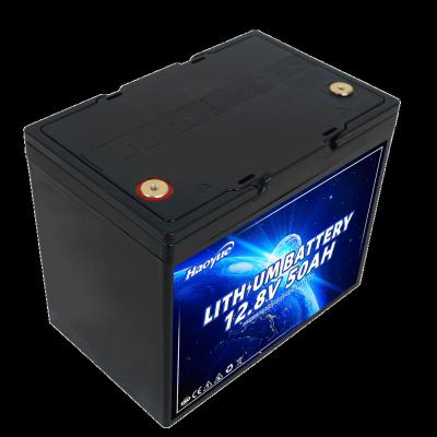 China Solar system BMS 12v 24v 36v 48v 50ah 100ah 200ah 300ah LiFePO4 battery pack lifepo4 12v 50ah for sale